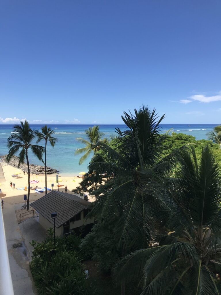 オーシャンビュー