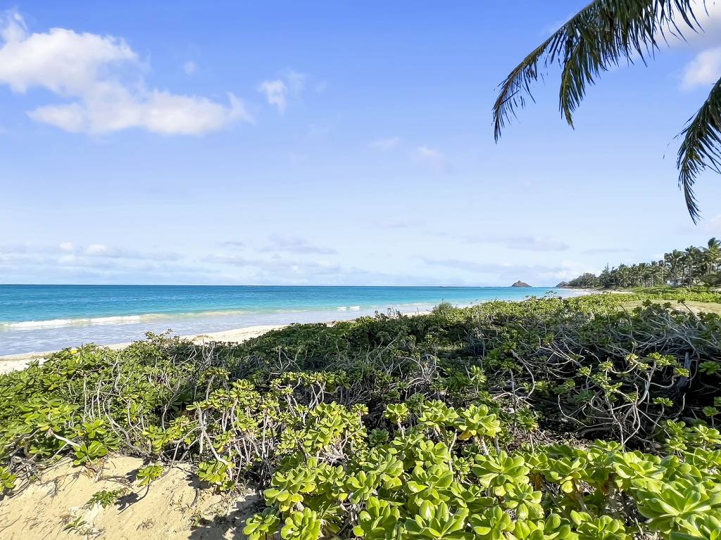 charmingkailua (11)