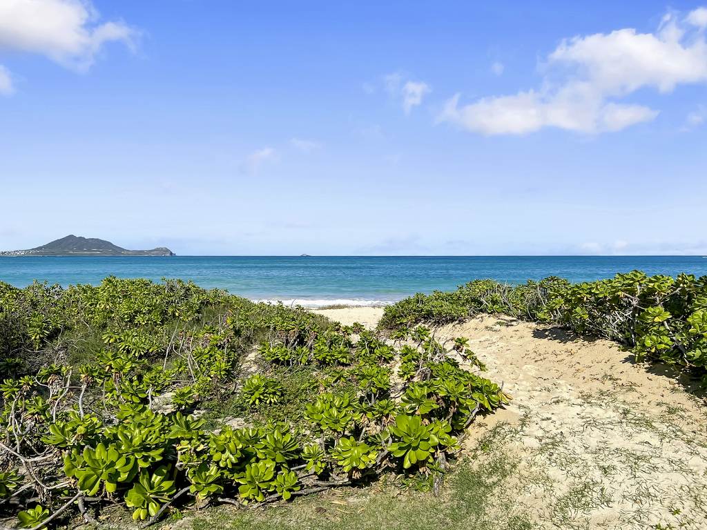 charmingkailua (12)