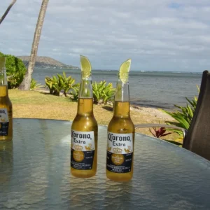 オーシャンビューの景色とビール