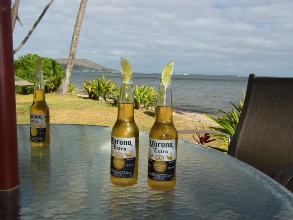 オーシャンビューの景色とビール